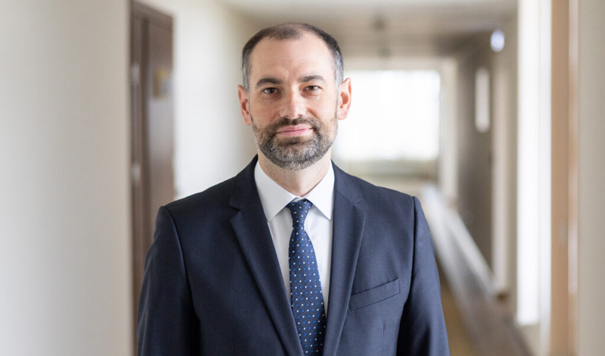 Виктор Лэпушняну 