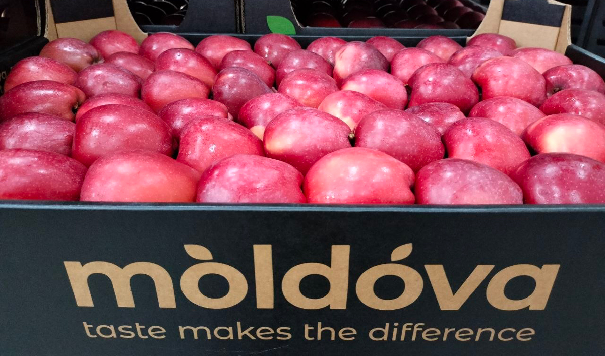 Exporturile de mere moldovenești descurajează în martie