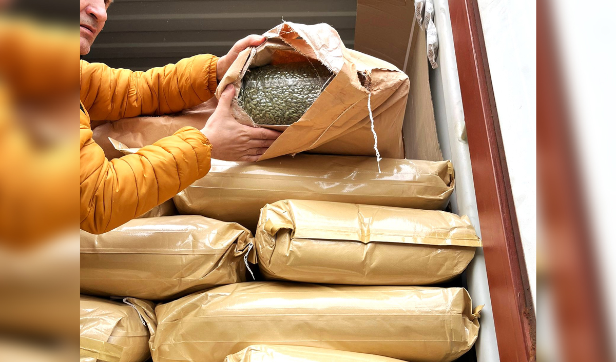 Агентство ANSA не пропустило на рынок Молдовы плохие семена тыквы