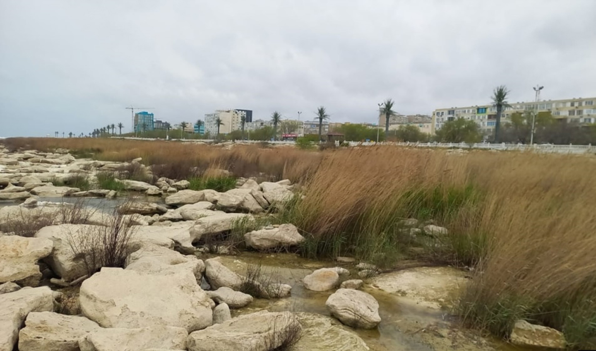 Земля теряет крупнейший внутренний водоем. Что происходит с Каспием?