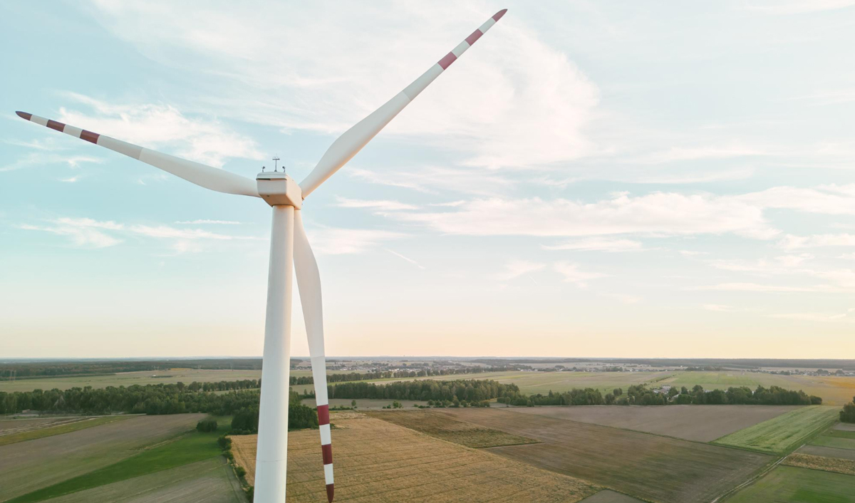 Importurile de turbine eoliene și baterii de stocare a energiei vor fi scutite de taxe vamale