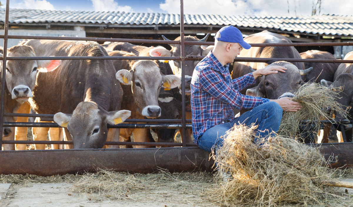 AIPA: fermierii au primit subvenții importante pentru „săptămâna scurtă”