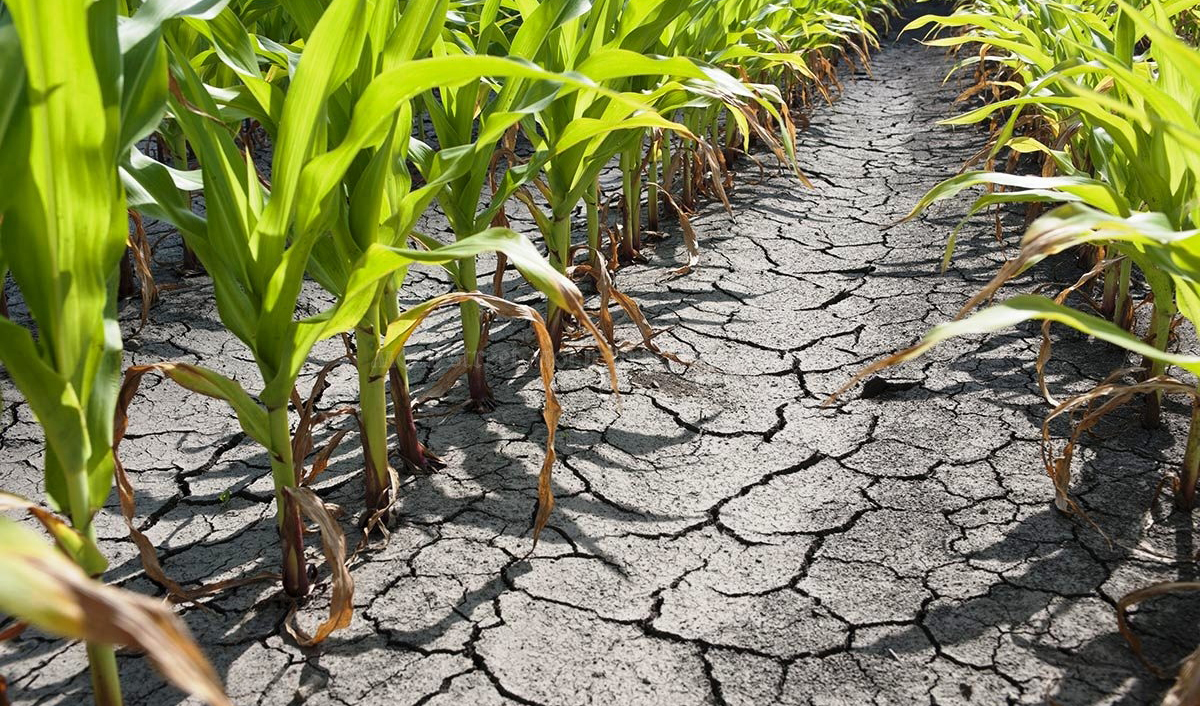 Almost 130 million lei will be allocated to fight against natural disasters