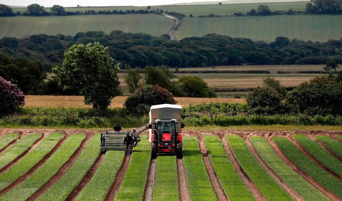 В Узбекистане осторожно наделяют фермеров правом на землю