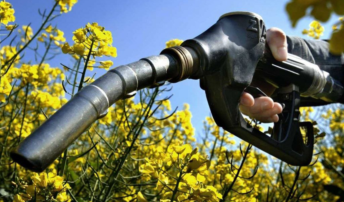 Alimente vs. benzină: cum schimbă criza energetică economia globală