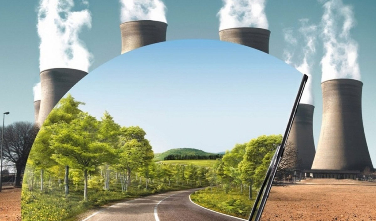 Таксономия возьмется за чистоту природы