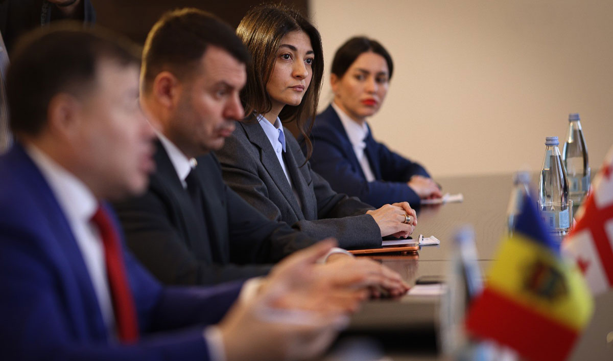 „Vrem să fim ca Georgia”: deputații moldoveni apreciază experiența georgiană de dezvoltare