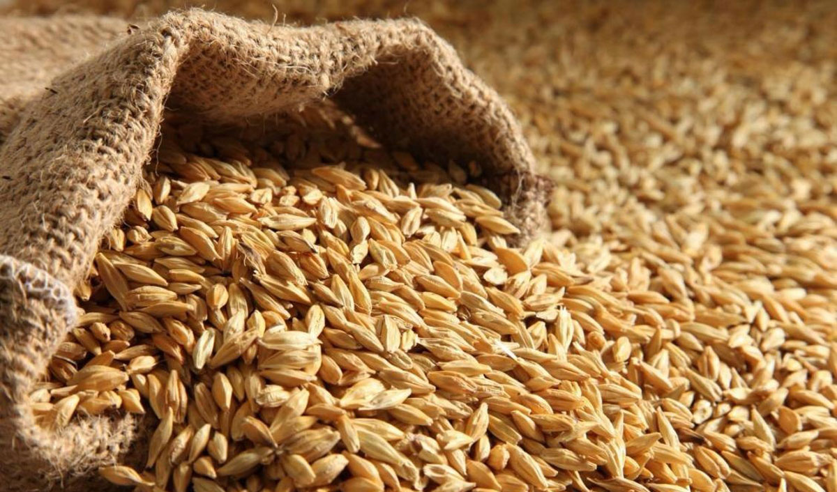 Prețurile grâului au crescut: mai multă vreme rea, mai mult război