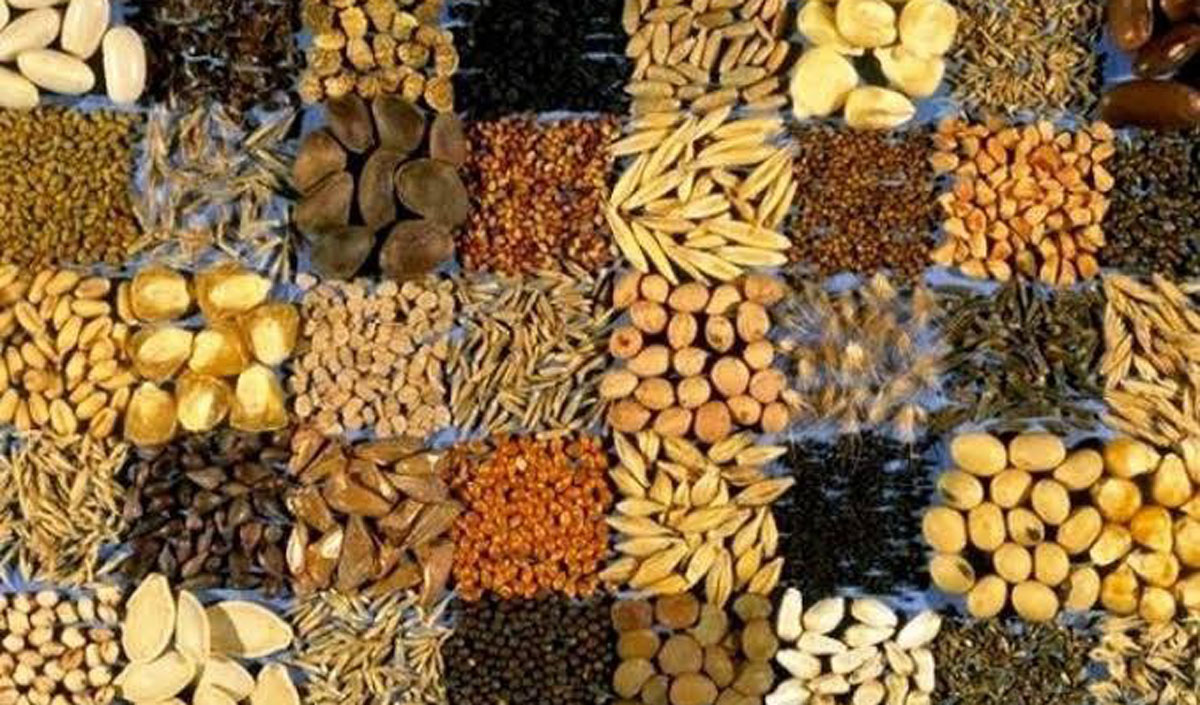 The Catalog of Plant Varieties appeared in Moldova