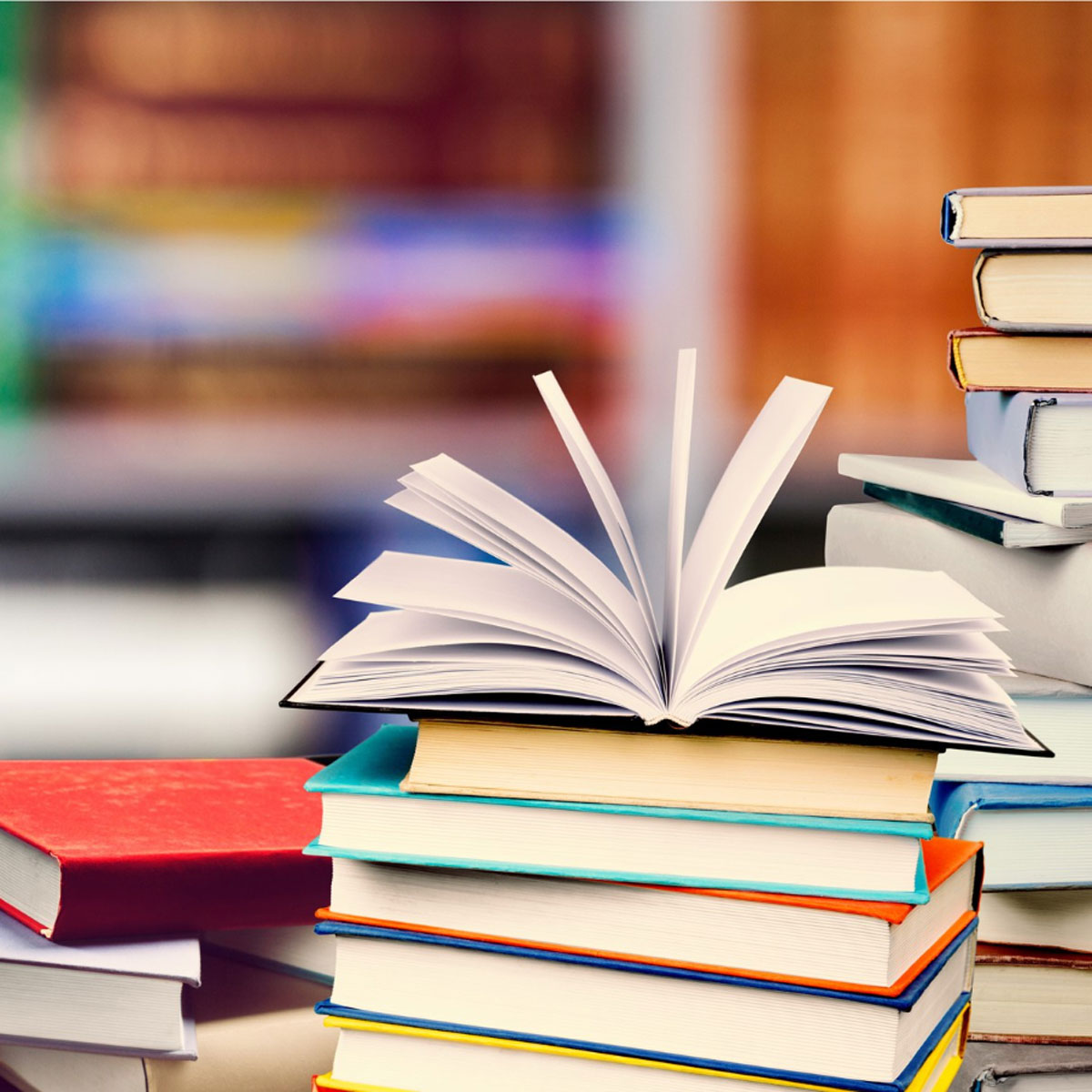 Evaluarea manualelor școlare costă peste o jumătate de milion de lei anual