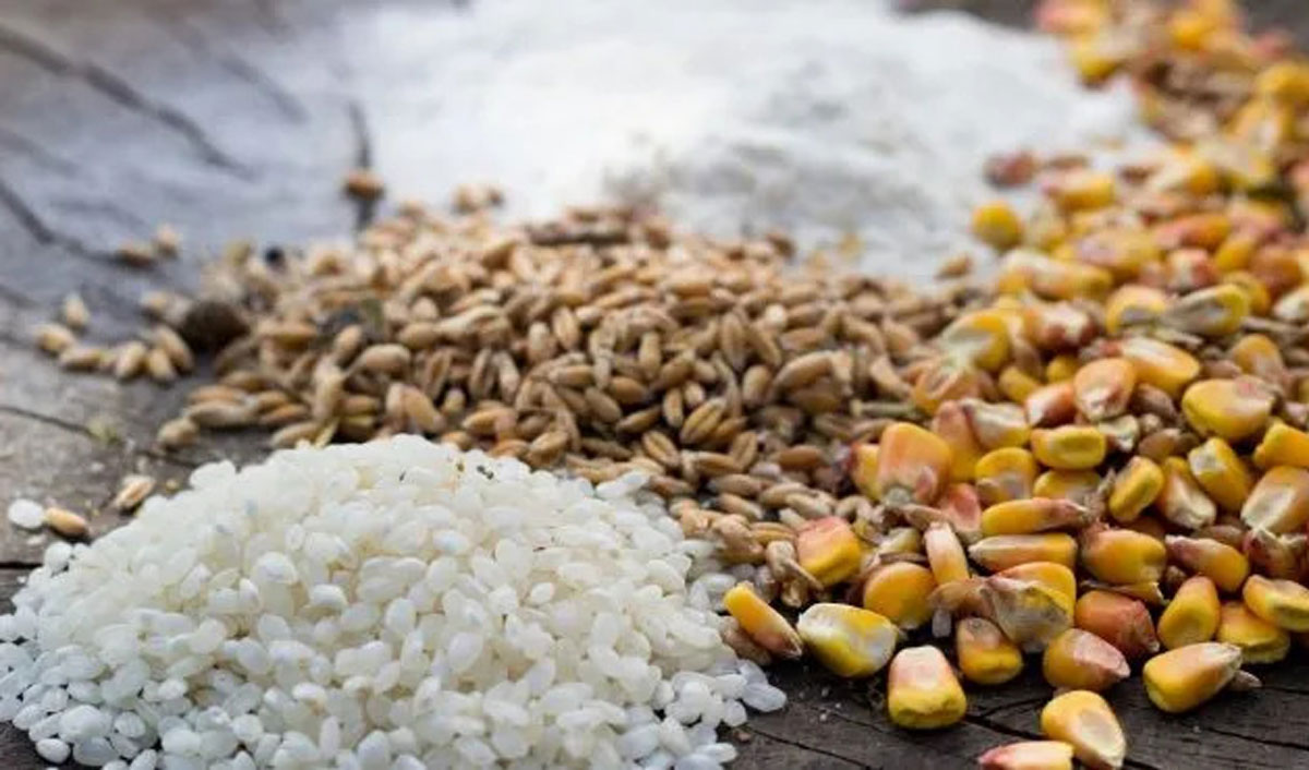 Ucraina va începe noul sezon cu o cantitate uriașă de cereale comercializabile