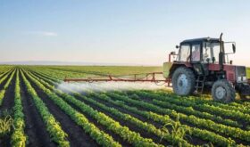 fermieri subvenționați Agrarienii au primit subvenții