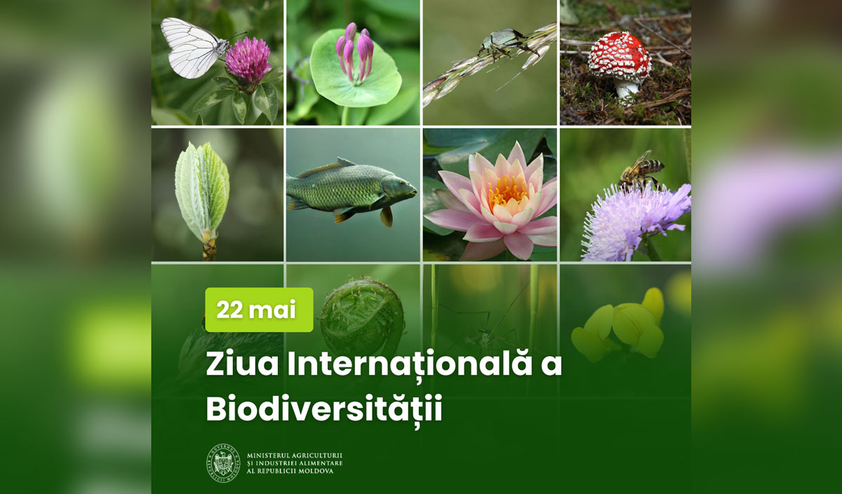 Ziua biodiversității – de dragul ecosistemelor lumii și al securității alimentare