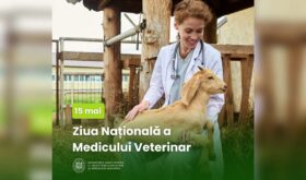 Veterinarian's Day