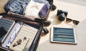 privilegii de import pentru efecte personale privilegii de import pentru efecte personale