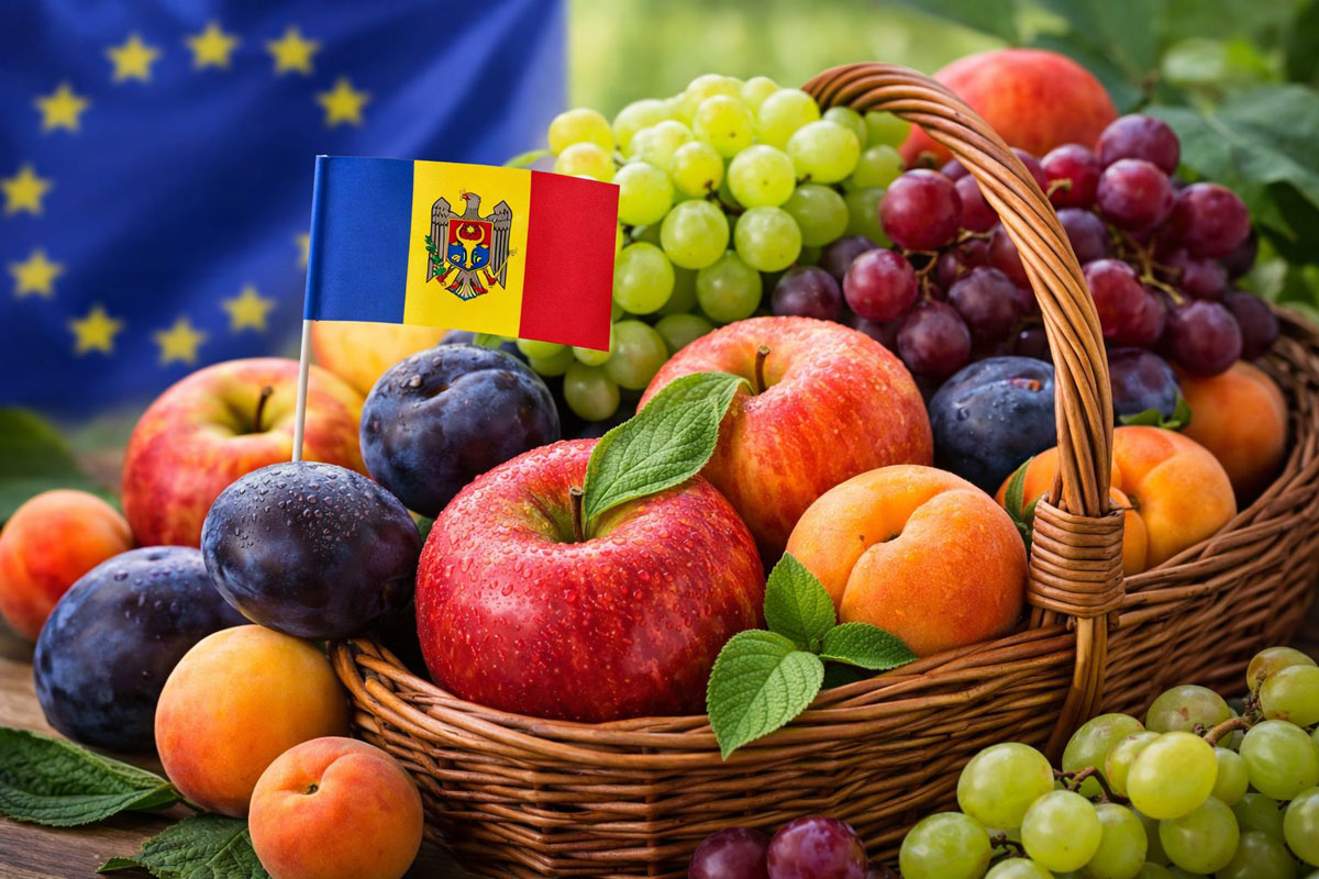 Moldovan fruits on the EU market: evolution of supplies
