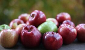 Moldovan apples Moldovan apples