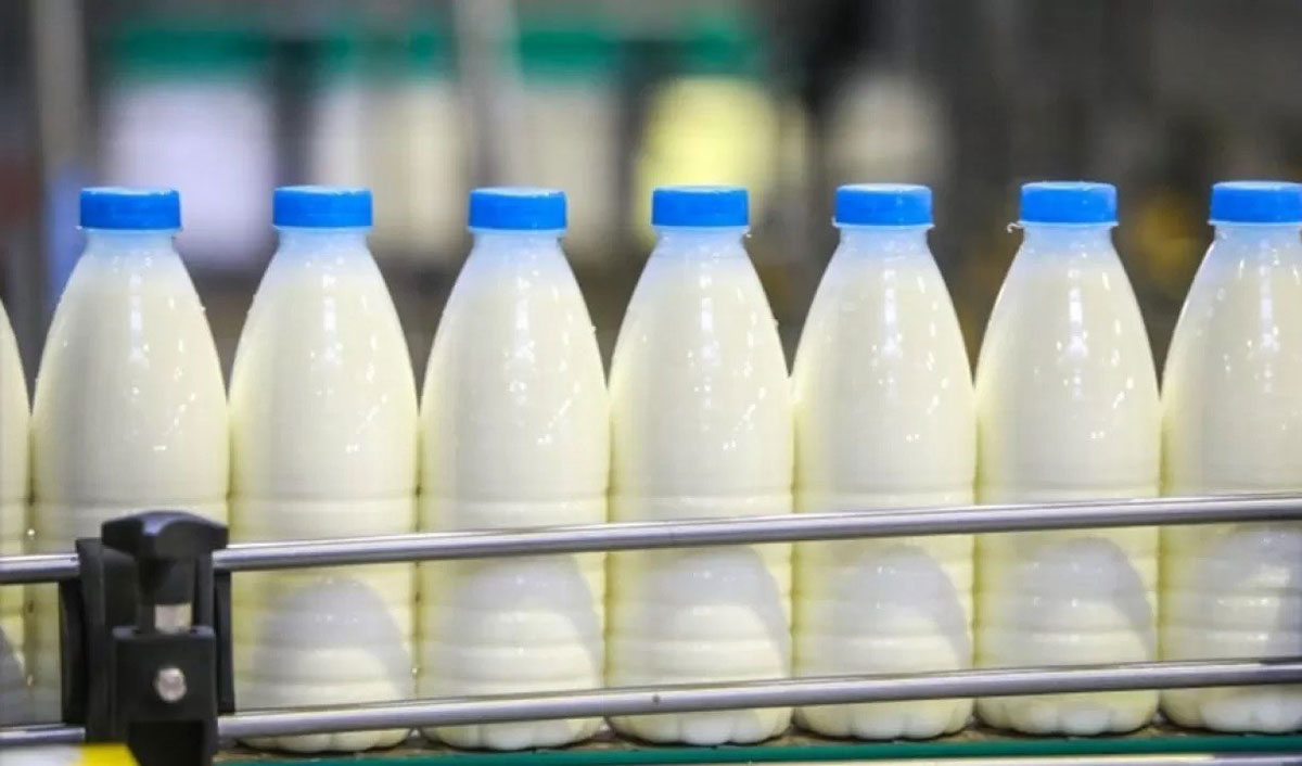 Moldovan and Ukrainian dairy farmers agree to cooperate in the name of European integration