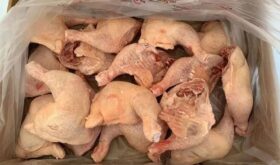 hams Brazilian hams