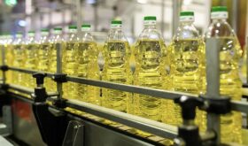 sunflower oil sunflower oil