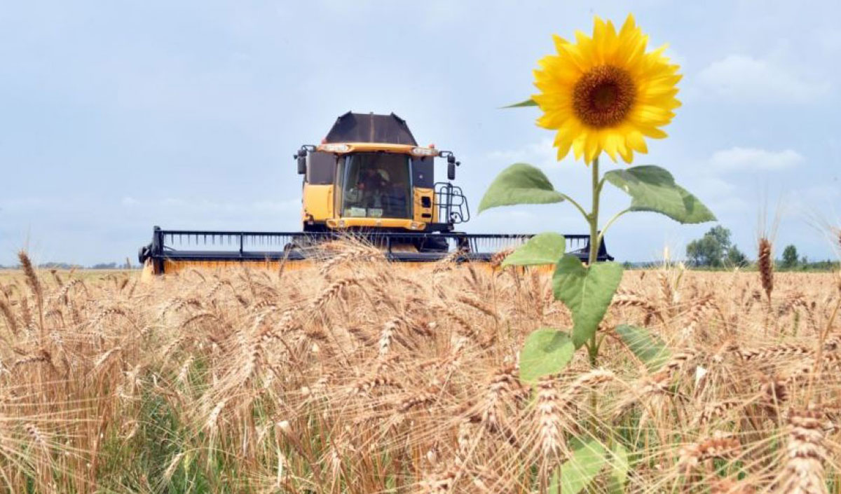 Why is agribusiness an outsider in Kazakhstan’s economy?