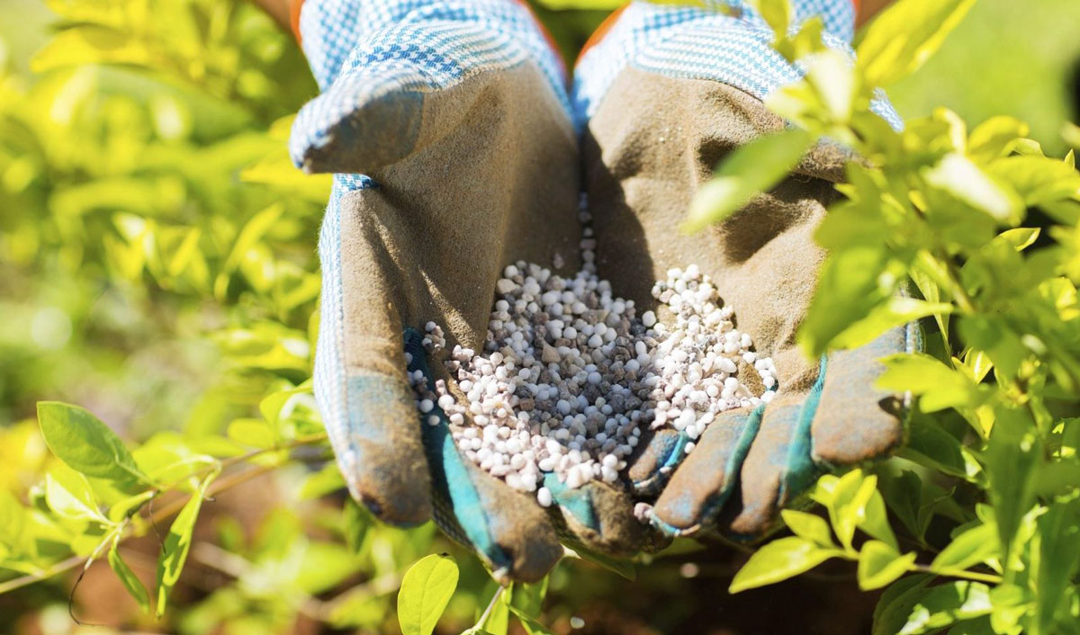 State to help Moldovan farmers with fertilizer subsidies