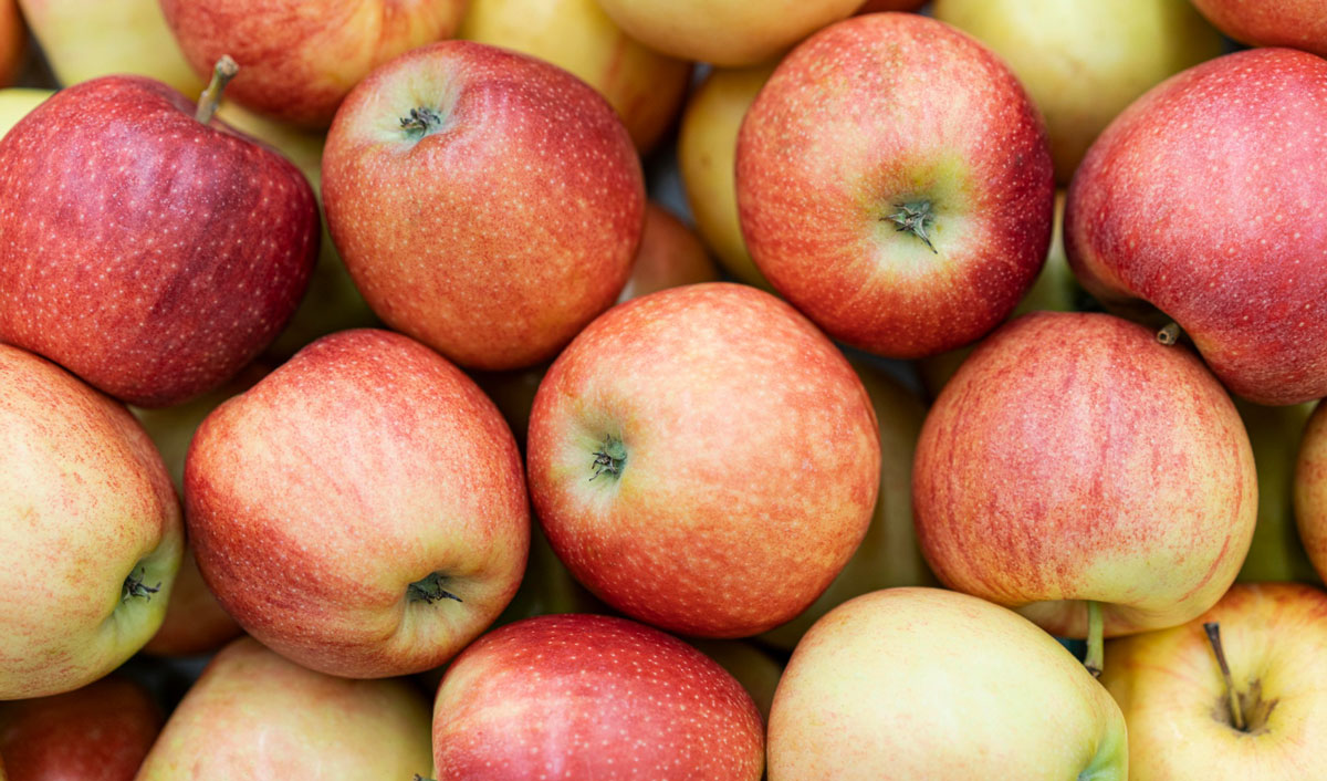 Fresh Plaza: “frost in Eastern Europe could double apple prices”