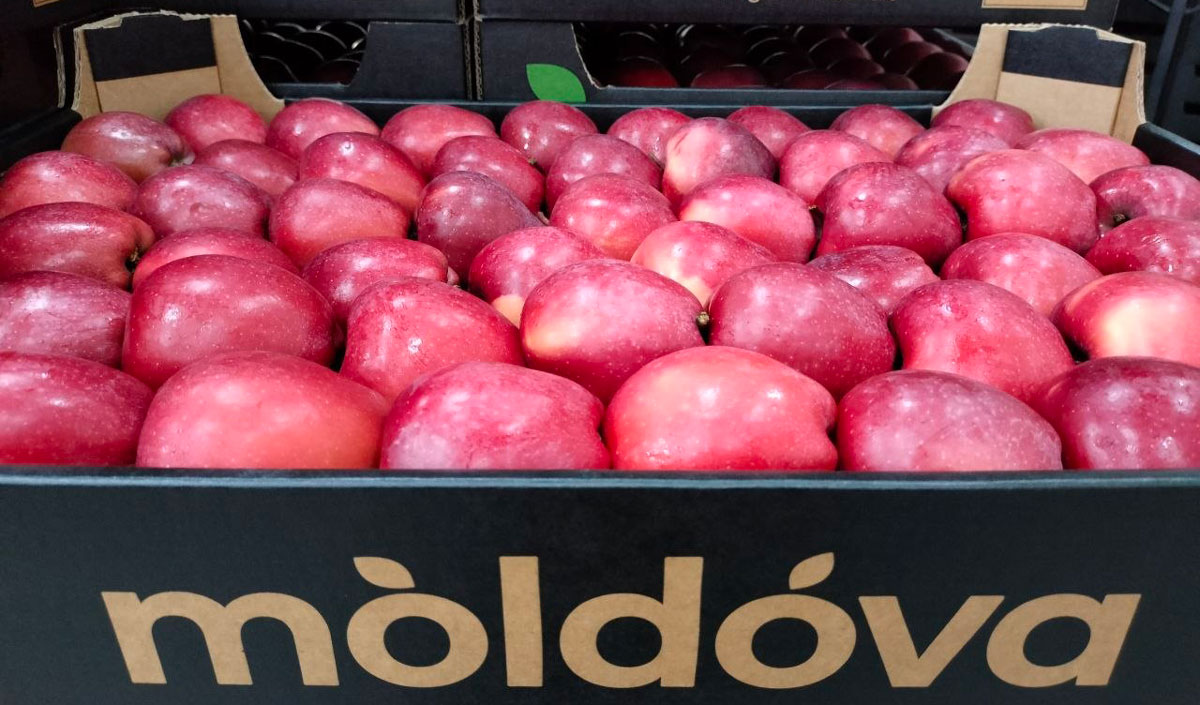 Moldovan apple exports decline