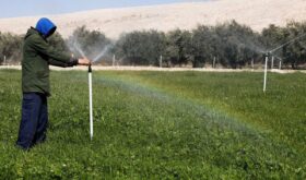 agrovoltaică