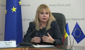 Anca Dragu