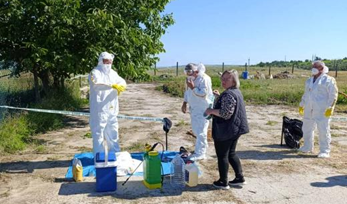  ANSA se antrenează pentru a combate focarele de gripă aviară