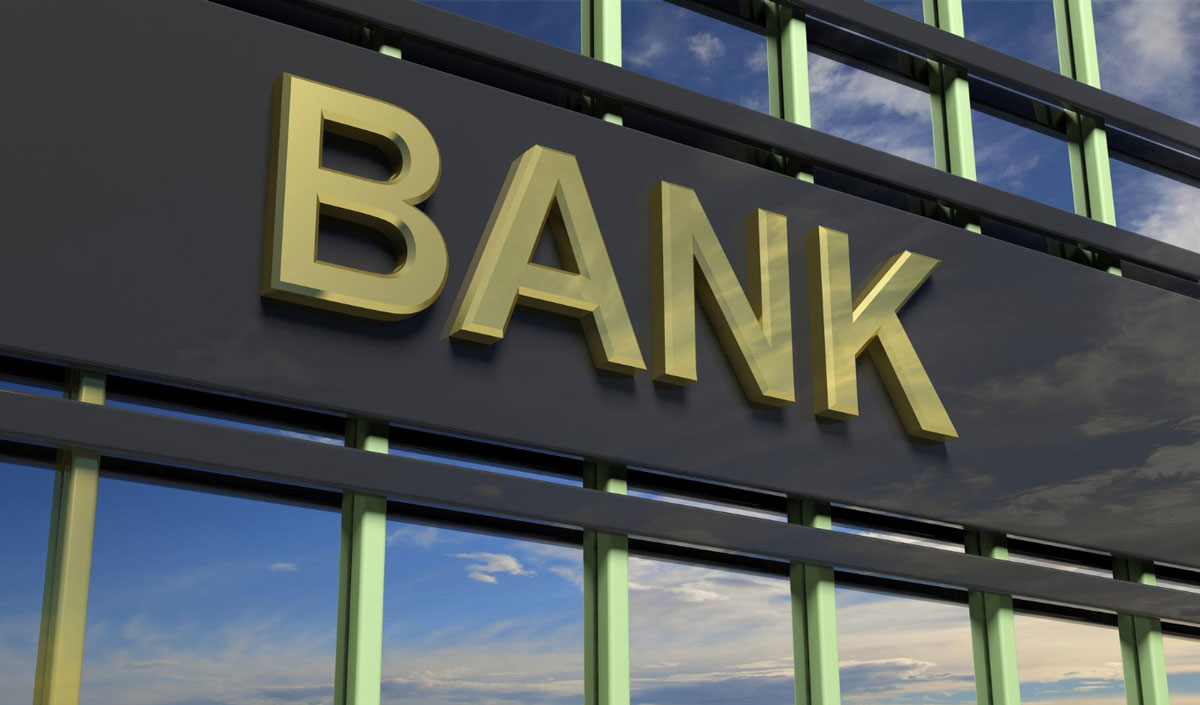 Opoziția propune o alternativă la actualul sistem bancar dominat de investitori străini