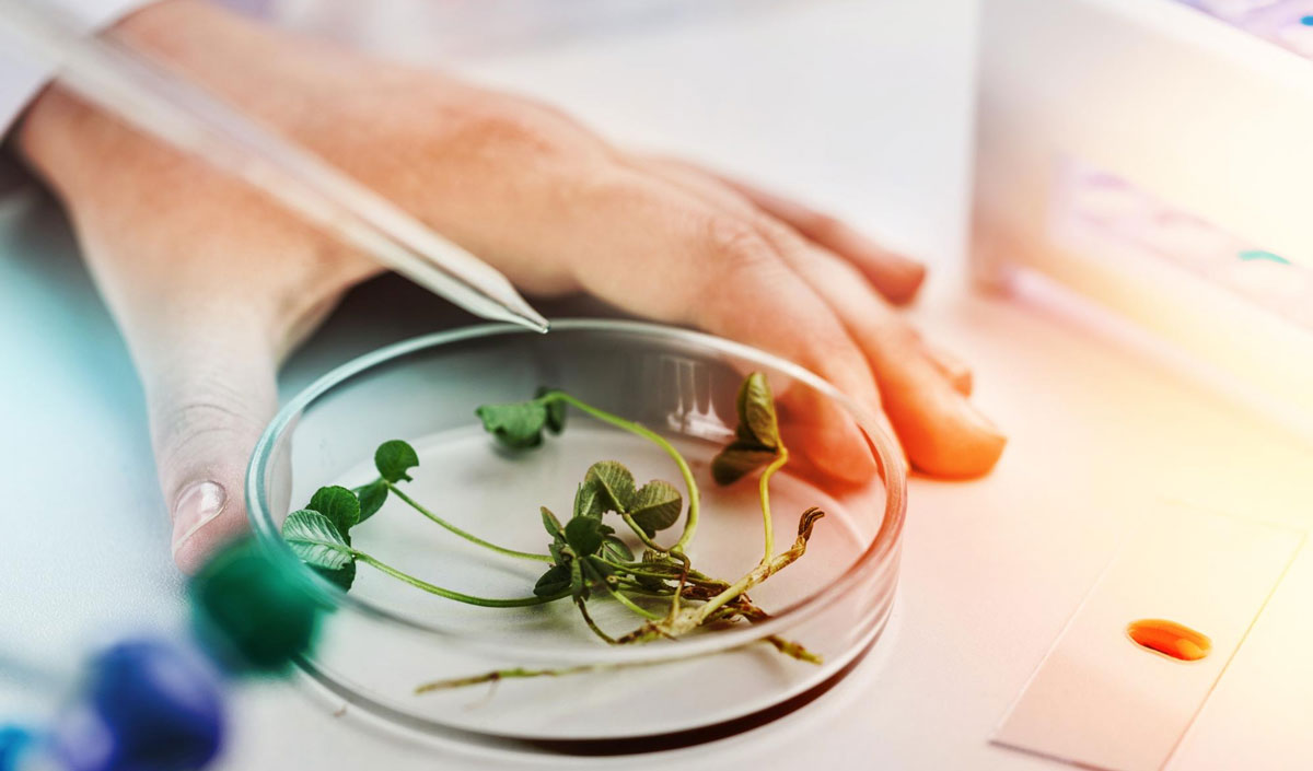 Sectorul agroalimentar din Moldova stabilește agenda cercetărilor