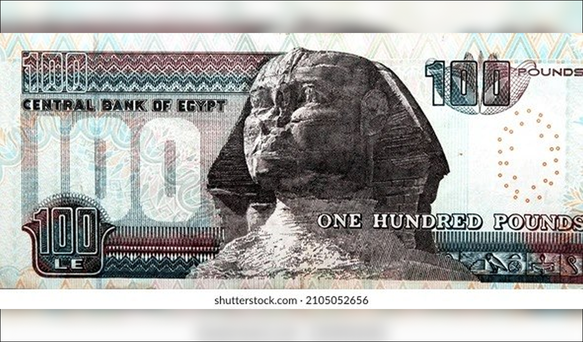 The Egyptian pound became the world’s best-performing currency following a rise