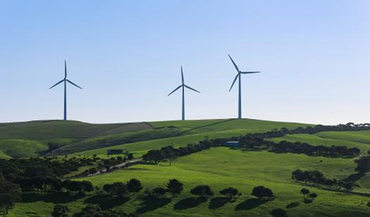 Comisia de licitație a deschis ofertele tehnice privind construirea unor parcuri eoliene cu o capacitate de 170 MW, dotate cu sisteme de stocare a energiei