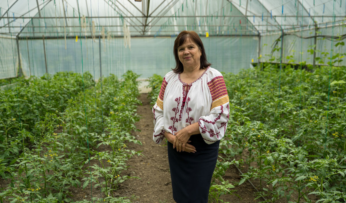 Development partners establish “field schools” for Moldovan vegetable growers