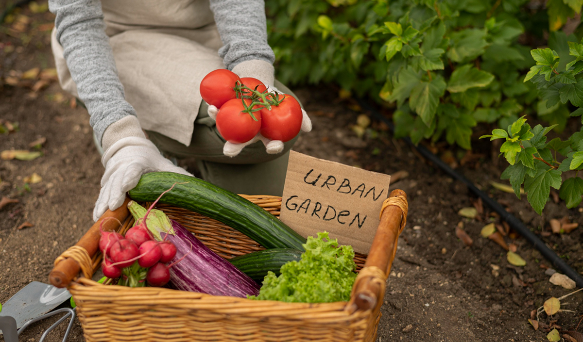 The Ministry of Agriculture announced agricultural subsidies as part of a new strategy