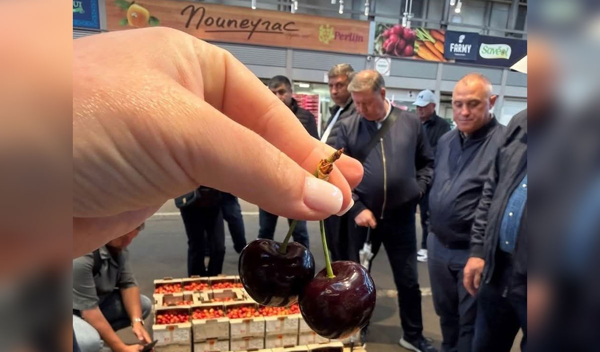 Producătorii de fructe din Moldova au acumulat experiență din Franța