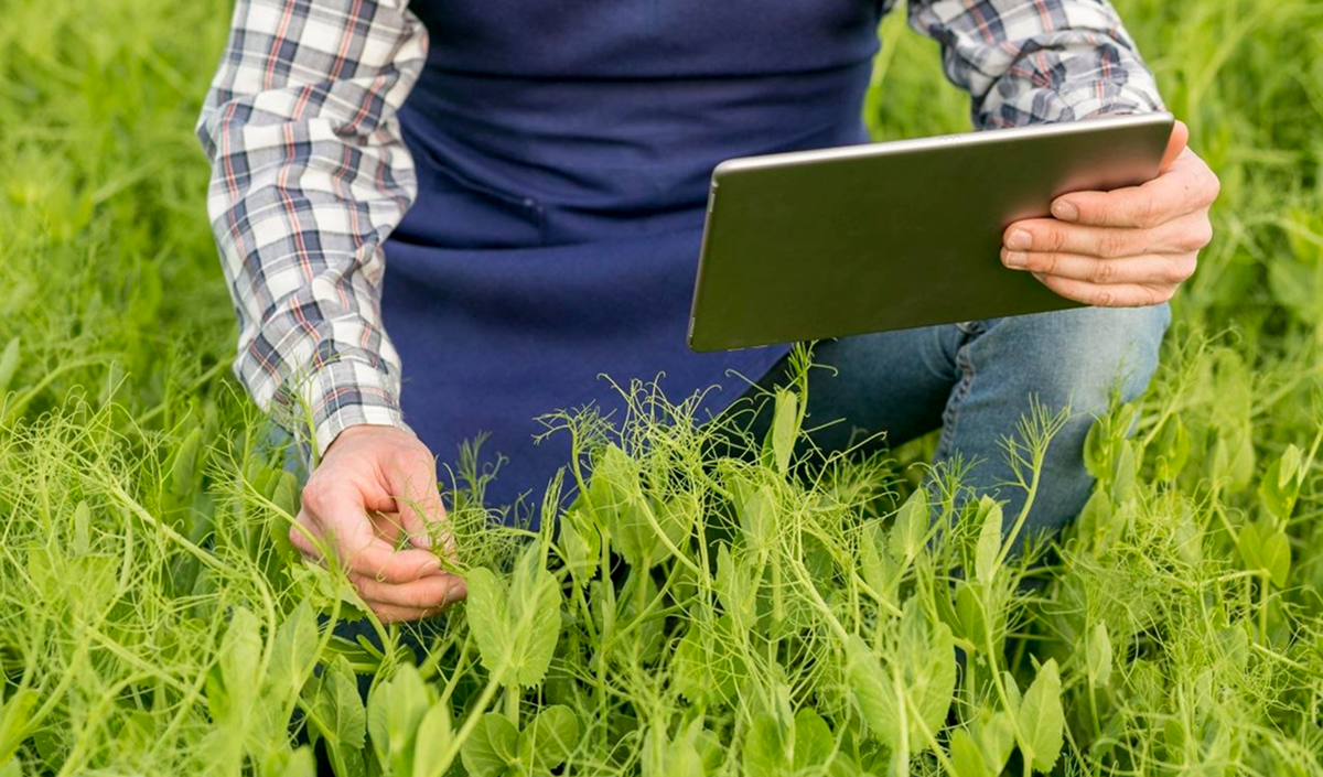Baza de date necesară pentru o politică agricolă adecvată