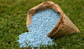 fertilizers fertilizers