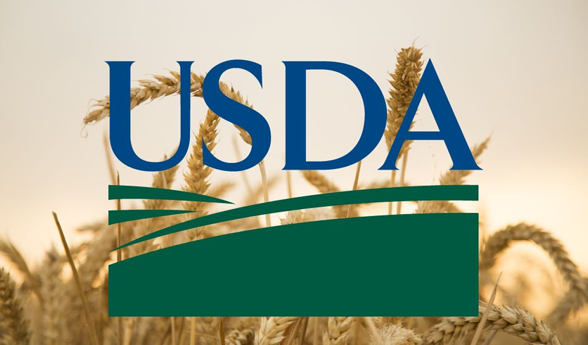 USDA June Report – Global Wheat Market Remains Calm