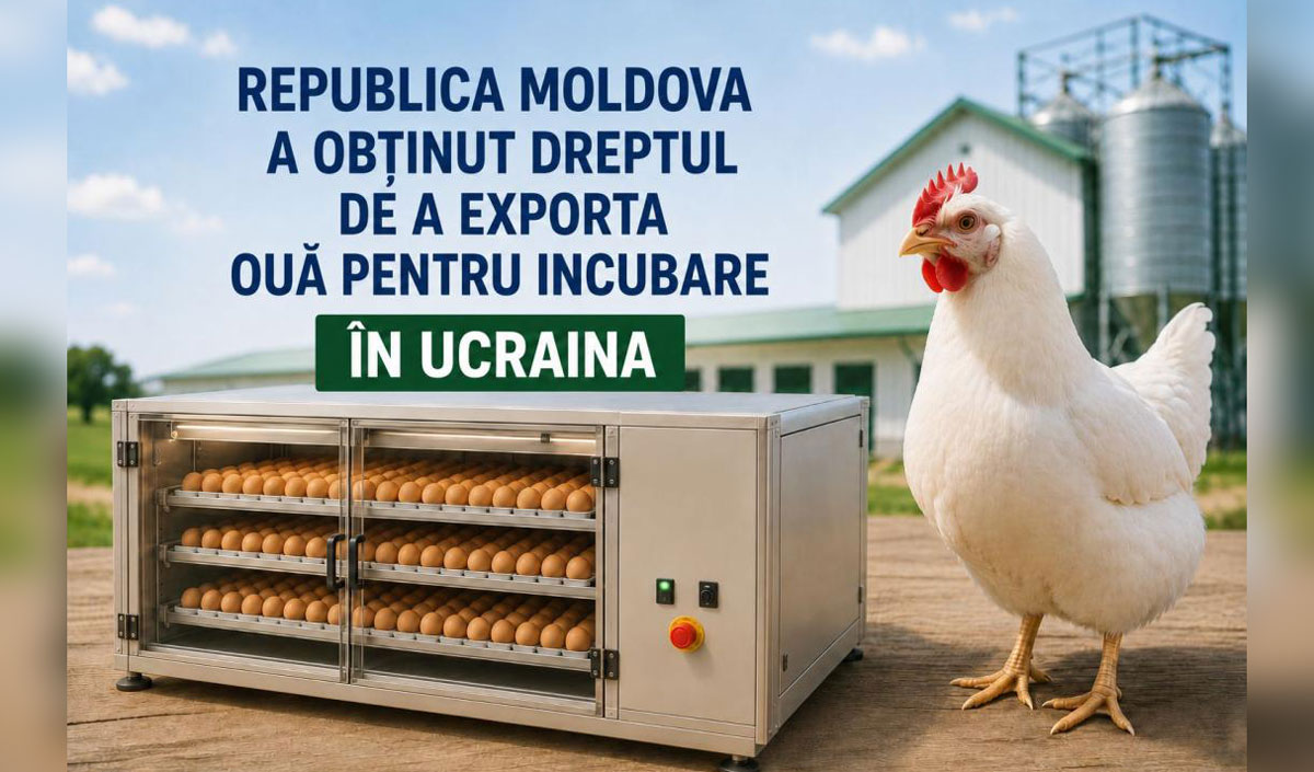 Three poultry farms in Moldova have been granted the right to export eggs to Ukraine