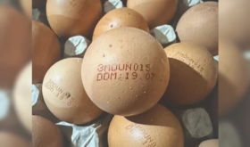 eggs