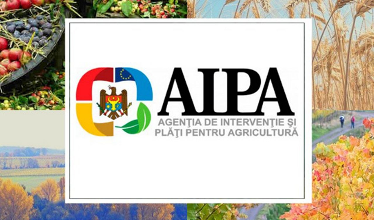 Regulamentul de acreditare al AIPA a fost adoptat