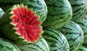 watermelons