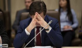 deputat în parlament deputat în parlament