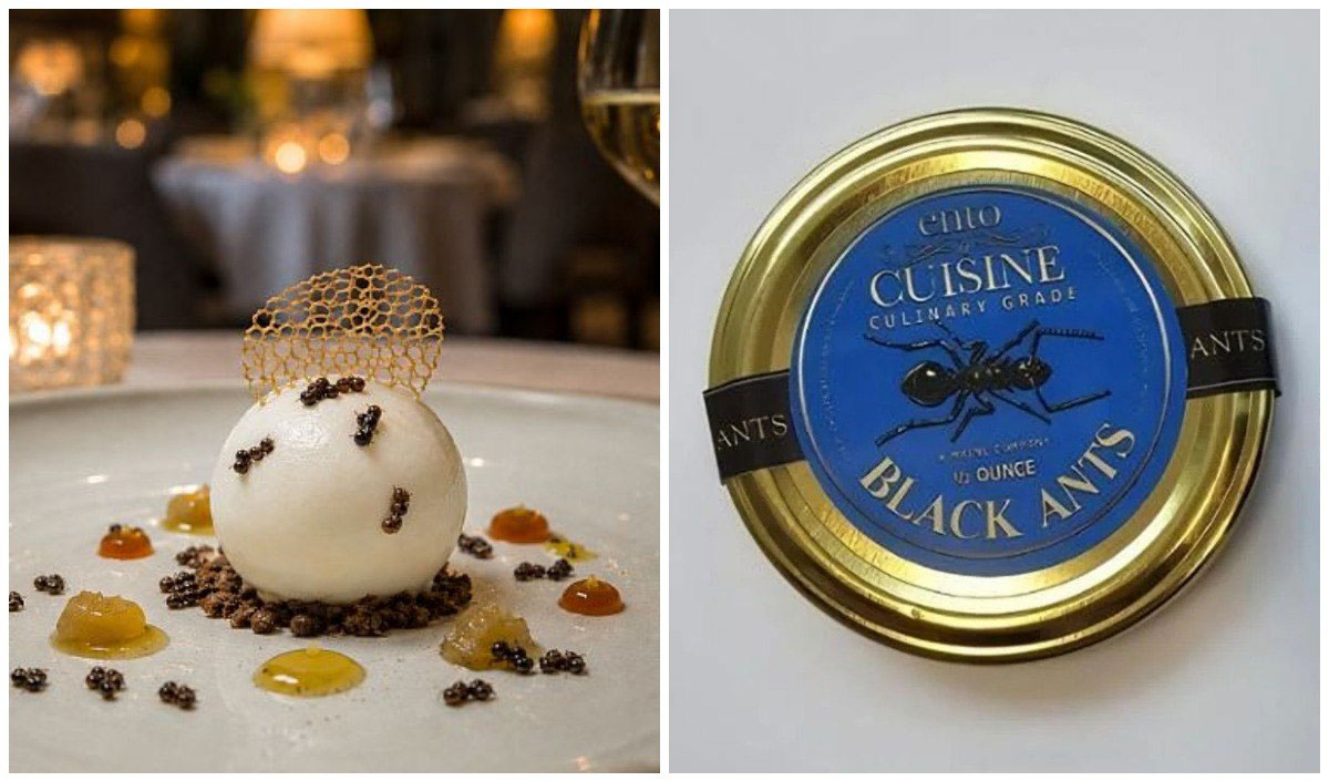 Un restaurant cu două stele Michelin riscă o amendă și închisoare pentru un desert cu furnici