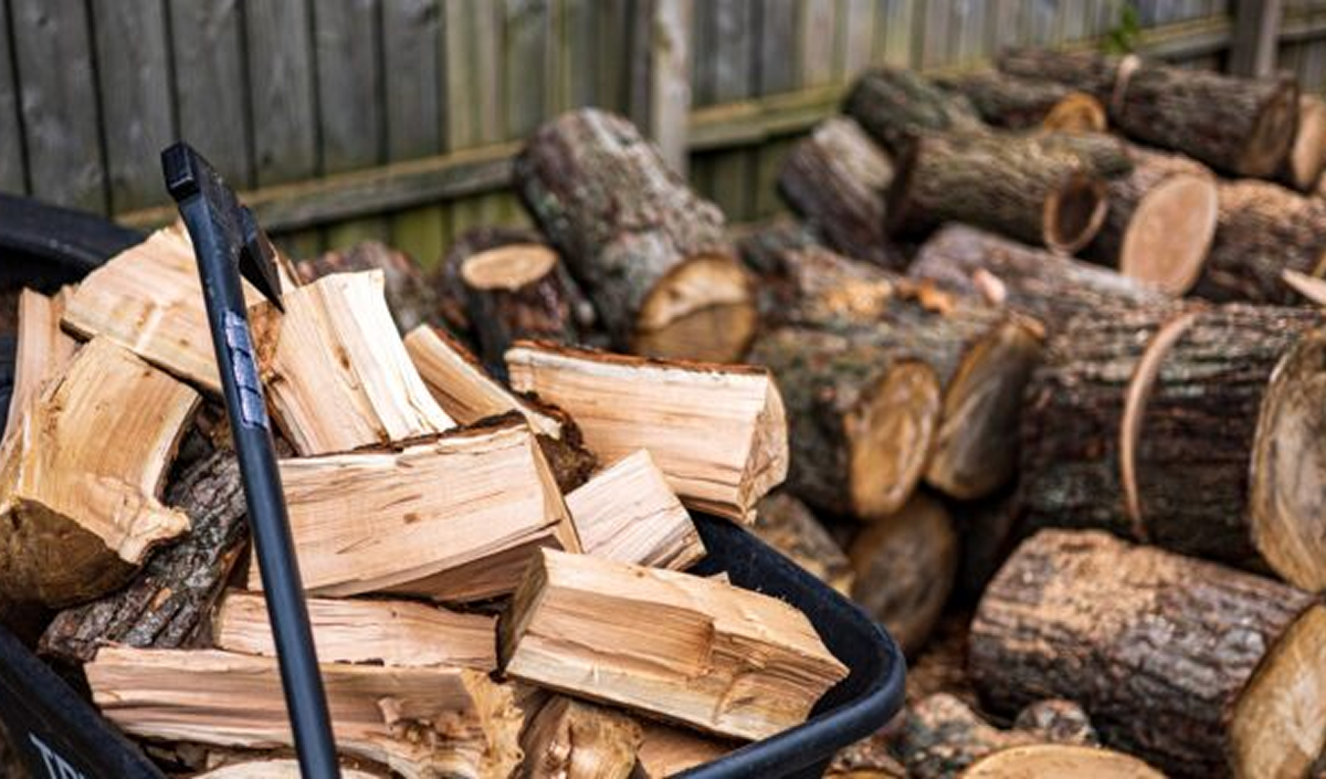 Romanians may be required to heat their homes “only with certified biomass”
