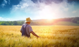 farmer