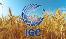 IGC IGC